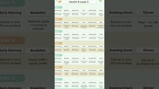 8 Month 3 week baby food chart