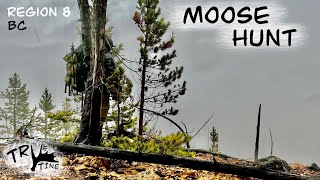 British Columbia Moose Hunting November 2023