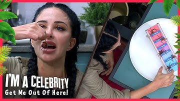 Tulisa eats TWO huntsmen spiders whole! | I
