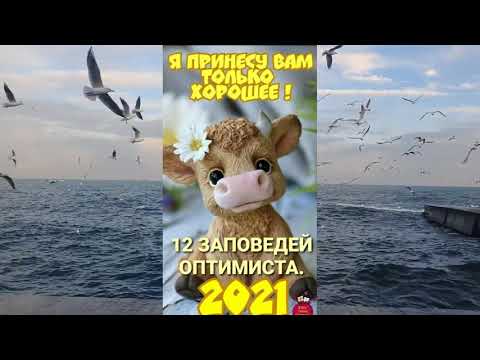 12 ЗАПОВЕДЕЙ ОПТИМИСТА. Самый лучший день — это Сегодня. Если ошибку можно исправить ты не ошибся