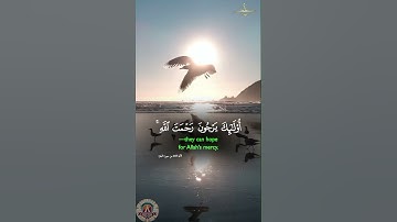 ﴿إِنَّ الَّذِينَ آمَنُوا وَالَّذِينَ هَاجَرُوا وَجَاهَدُوا﴾ | تلاوة تهز القلوب بصوت صالح بو خاطر