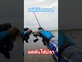 ตกปลาช่อนนาน้ำท่วม แค่ตีไปล้างสาย แต่ดันได้ปลาช่อนกลับมาด้วย #กบยางไซโค @MintSaraLures