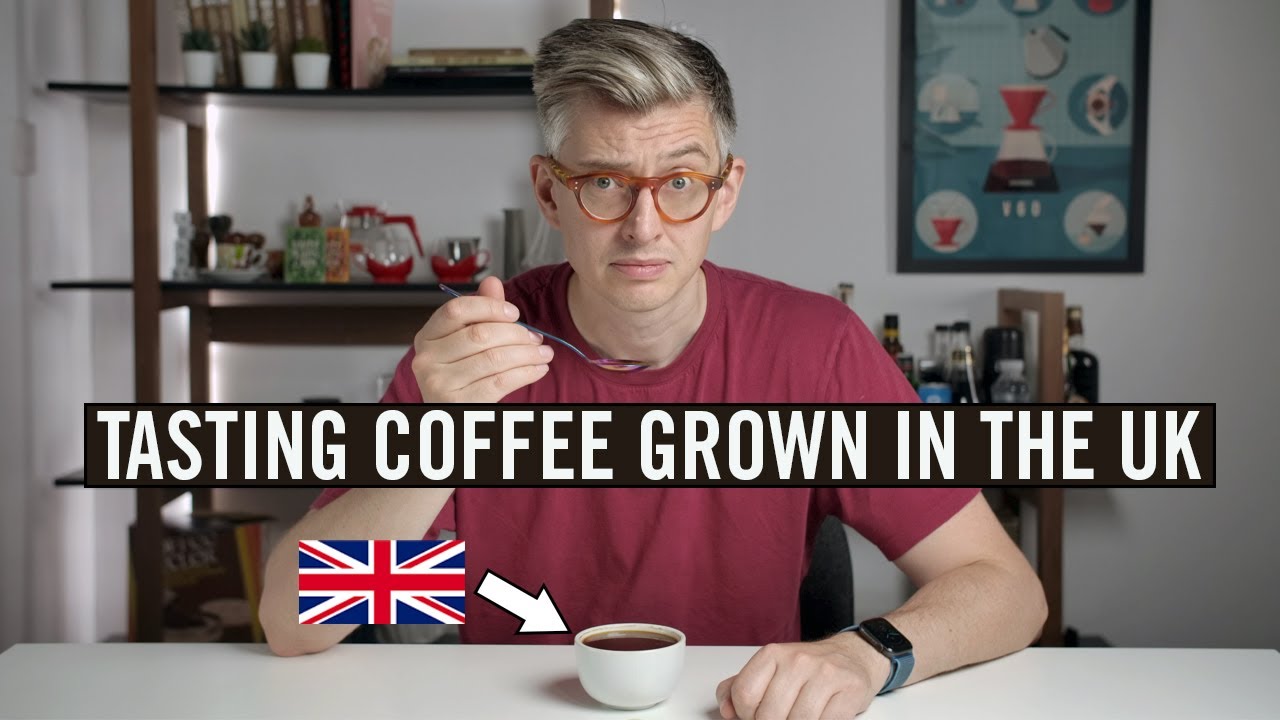 Tasting The Improbable: Coffee Grown In The UK