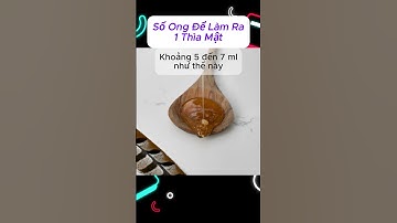 Số Ong Để Làm Ra 1 Thìa Mật !!! #kienthuc #amazingfacts #shorts #cuccool