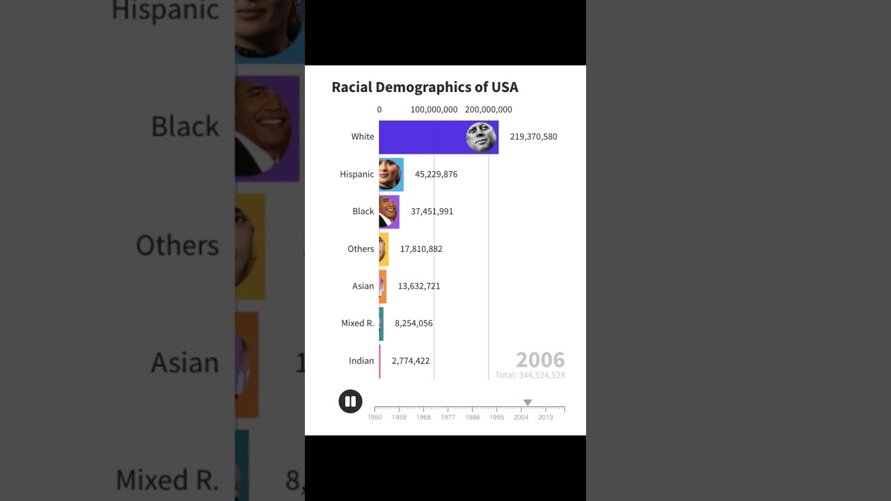 Racial Demographics of USA 