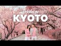 3 Days in Kyoto During Cherry Blossom Season 🌸 | Best Sakura Spots &amp; Food