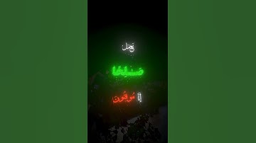 تلاوة خاشعة بصوت القارئ الشيخ ياسر الدوسري #استغفر_الله  #gaza #اكسبلور #shortvideo #لايك #دويتو