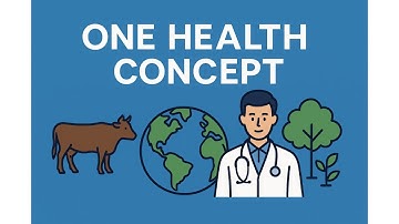 One Health Concept | Connecting Human, Animal, and Environmental Health