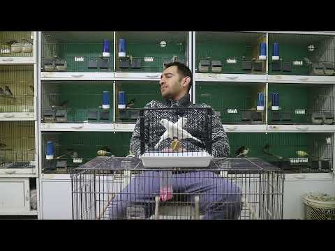 GELİN BİRLİKTE ÜRETİM YAPALIM