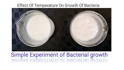 Effect of temperature on growth of Bacteria