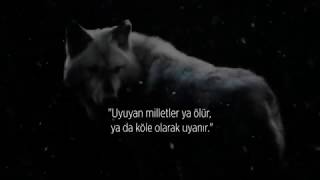 “Uyuyan milletler ya ölür , ya da köle olarak uyanır” Mustafa Kemal Atatürk // BÖRÜ