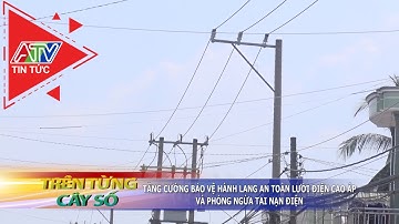 Tăng cường bảo vệ hành lang an toàn lưới điện cao áp và phòng ngừa tai nạn điện | ATV Tin tức