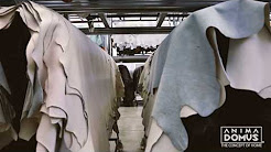 Italian Partners - GAMMA & Anima Domus