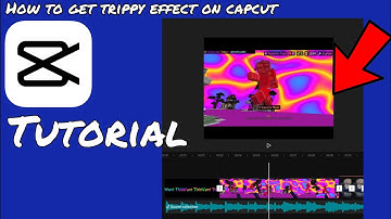 How to add Trippy Effect on Capcut | 70 Subscribers