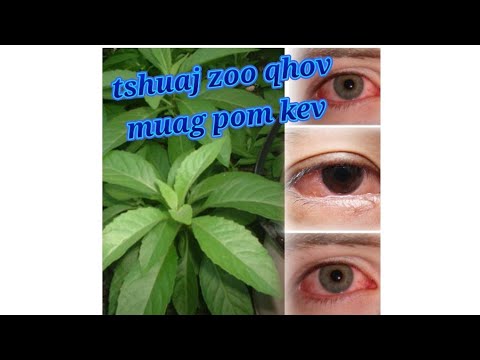 Video: Kev Kho Sab Nraum Zoov