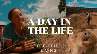 A Day In The Life Of Freedom And Reward - A Peek Into Our Off grid Adventure