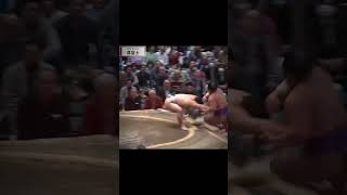 Takerufuji vs Asasuryu : Chapuzones Torneo De Enero 2026 #sumo #japanesesport #sumoenespañol