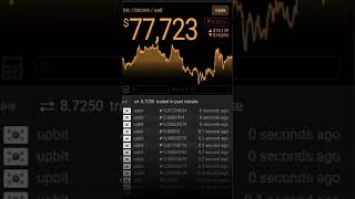 SpaceX IPO Speculation Grows Amid $637M Bitcoin Holdings 🚀#usa #btc #bitcoin #funny #1000subscriber