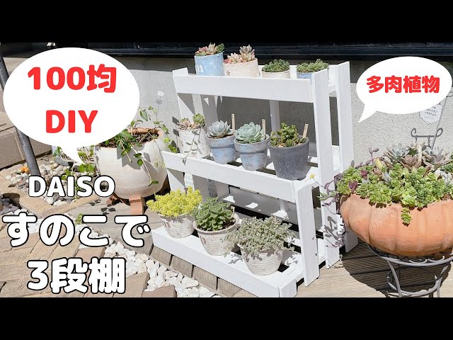 100均DIY】DAISOすのこで3段棚/多肉植物／フラワースタンド - YouTube