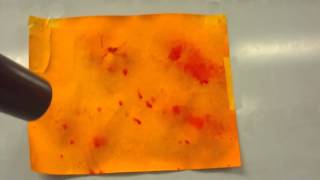 golden rod paper