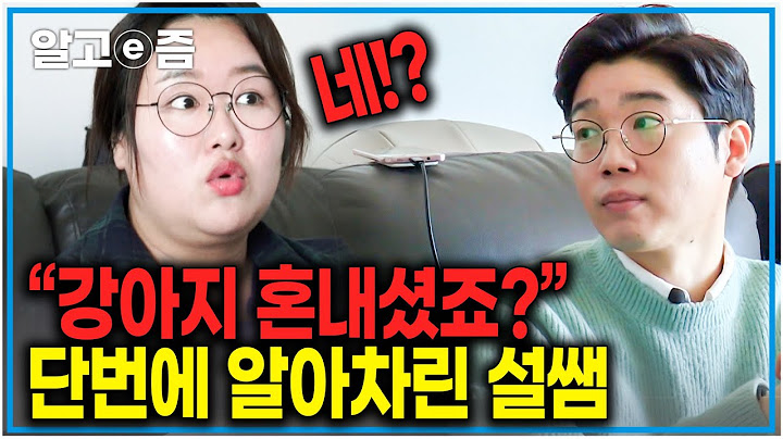 "강아지는 이렇게 혼내세요" 강아지의 행동을 보고 단번에 훈육 사실 알아차린 설쌤｜세상에 나쁜 개는 없다｜알고e즘