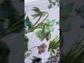 Video Image