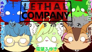 【Vtuber】ぬめゲコらいふ 宇宙のガラクタ回収は僕らにおまかせ！〔Lethal Company〕