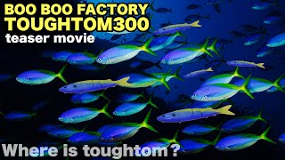 オリカラルアー入荷間近】タフタム300【MORITAKA510販売予定】 - YouTube