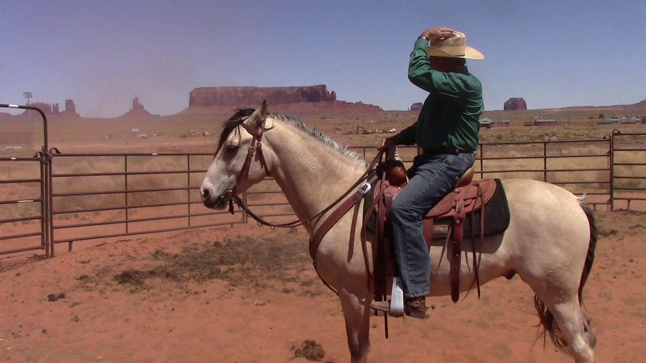 How to Use Leg Cues on Your Horse Part 2 YouTube