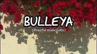 Bulleya (slowe   reverb ) | Salman Khan, Anushka Sharma | Papon | irshad kamil | 93 Lofis