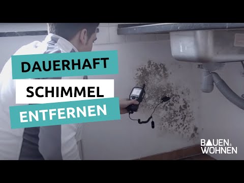 hawo Schimmelrechner - Schimmelgefahr einfach veranschaulichen