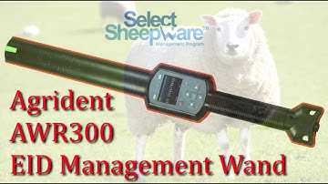 Agrident AWR300 EID Management Recording Wand Reader for Sheep from TGM Software Solutions