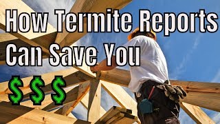 Getting the Most Out of Termite Inspection Reports 📑 Using Termite Reports to Scope &amp; Plan Repairs