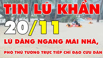 🆘 TIN LŨ KHẨN 20/11: Lũ dâng ngang mái nhà, Phó Thủ tướng trực tiếp chỉ đạo cứu dân