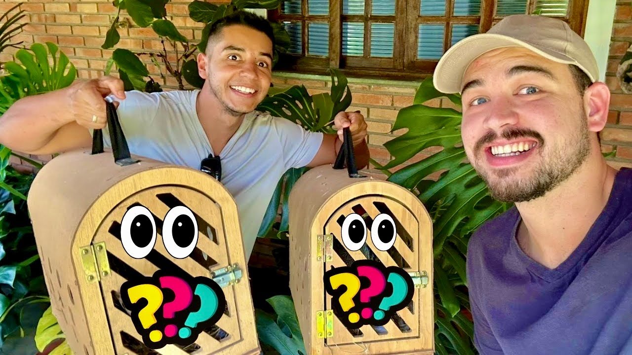 Chegou o dia de Buscar as AVES MISTERIOSAS | TUDO Sobre Faisão Eporonier | Aves Recriar