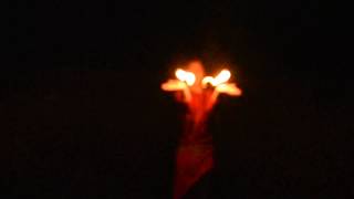 Free Flow ~ Fire Dance with Palm Torches