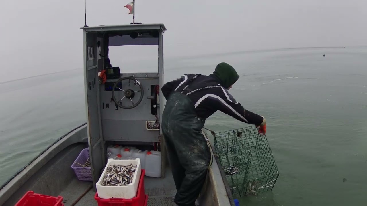 giornata di pesca tranquilla al granchio blu 🦀🦀