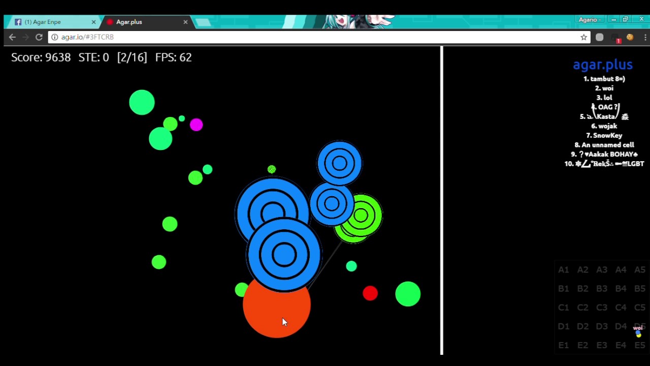 Agarplus 2017 test w/ Rozy