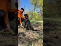 🐾 Tag 19 der SpringDogDays – Das 10-Leckerli-Spiel für mehr Fokus! #hundebeschäftigung