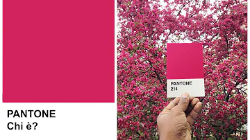 Che cosa sono i colori Pantone?