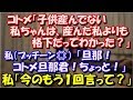【スカッとする話】 コトメ「子供産んでない私ちゃんは、産んだ私よりも格下だってわかった?」私(プッチーン)私「旦那!コトメ旦那君ちょっと!」「コトメちゃん今のもう1回言って?」 スカッと修羅場ラバンダ