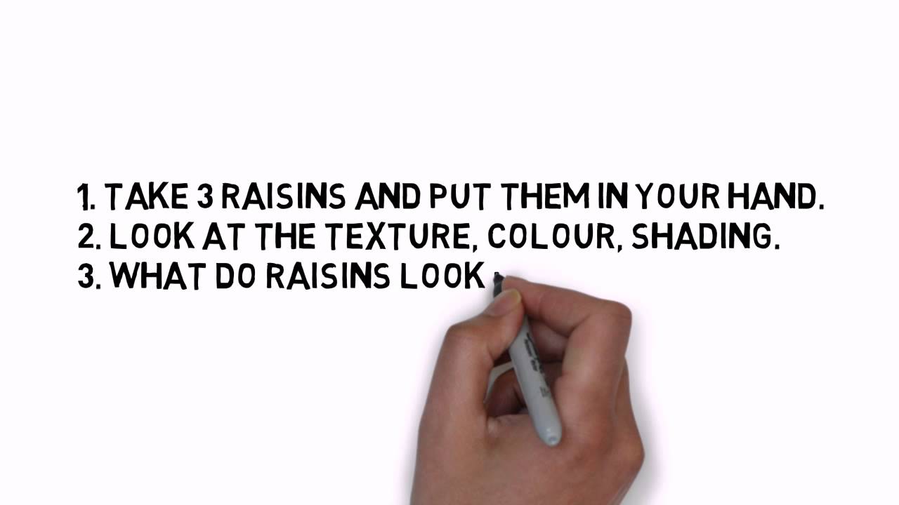 Raisin Eating Mindfulness Exercise Animation YouTube