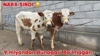 😡NEGA BOZOR QIMMATMI 9.200 GIBTIR VA Boqma Hunojinlar keldi 😳Bor baraka Menda Arzon