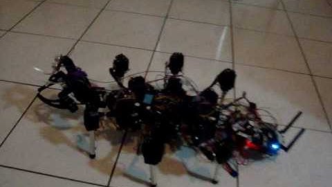 Hexapod object avoidance