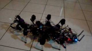 Hexapod object avoidance