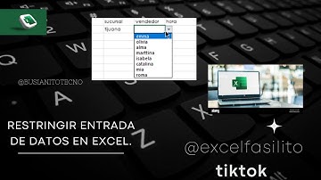 RESTRINGIR ENTRADA DE DATOS EN EXCEL. 📊