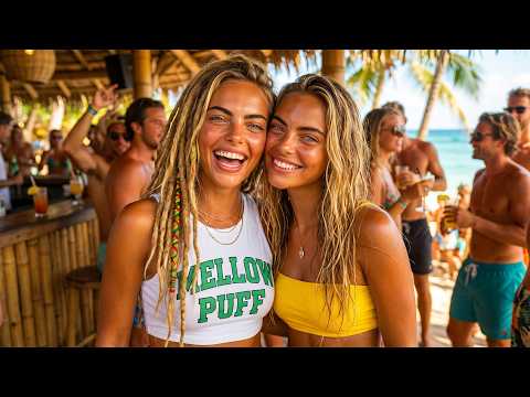 🟢 Welcome to Mellow Puff Island 🌴 24/7 Chill Reggae & Feel Good Vibes
