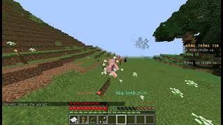 Test skill mythicmobs #1