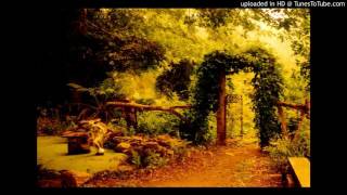 Abraham Hicks - Soothe Yourself into Alignment & Chill