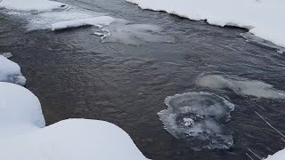 Звуки природы. Живая картина. Течение реки  АСМР  Без слов  Медитация